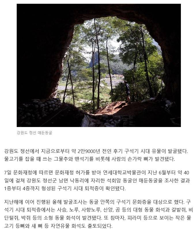 강원도 정선 매둔동굴 발굴2.jpg