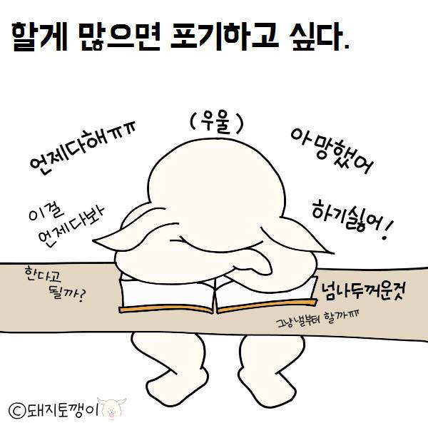 토깽5.jpg