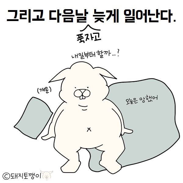 토깽10.jpg