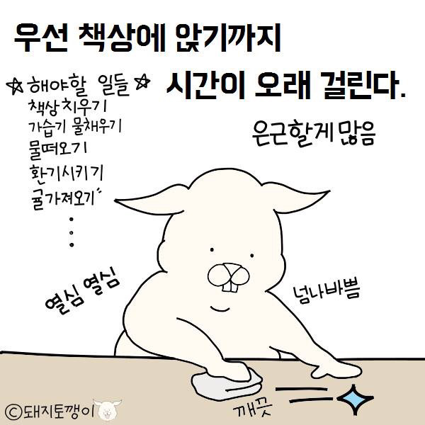 토깽2.jpg