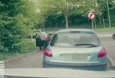 70488315614774230.gif