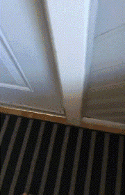 20547315615647020.gif