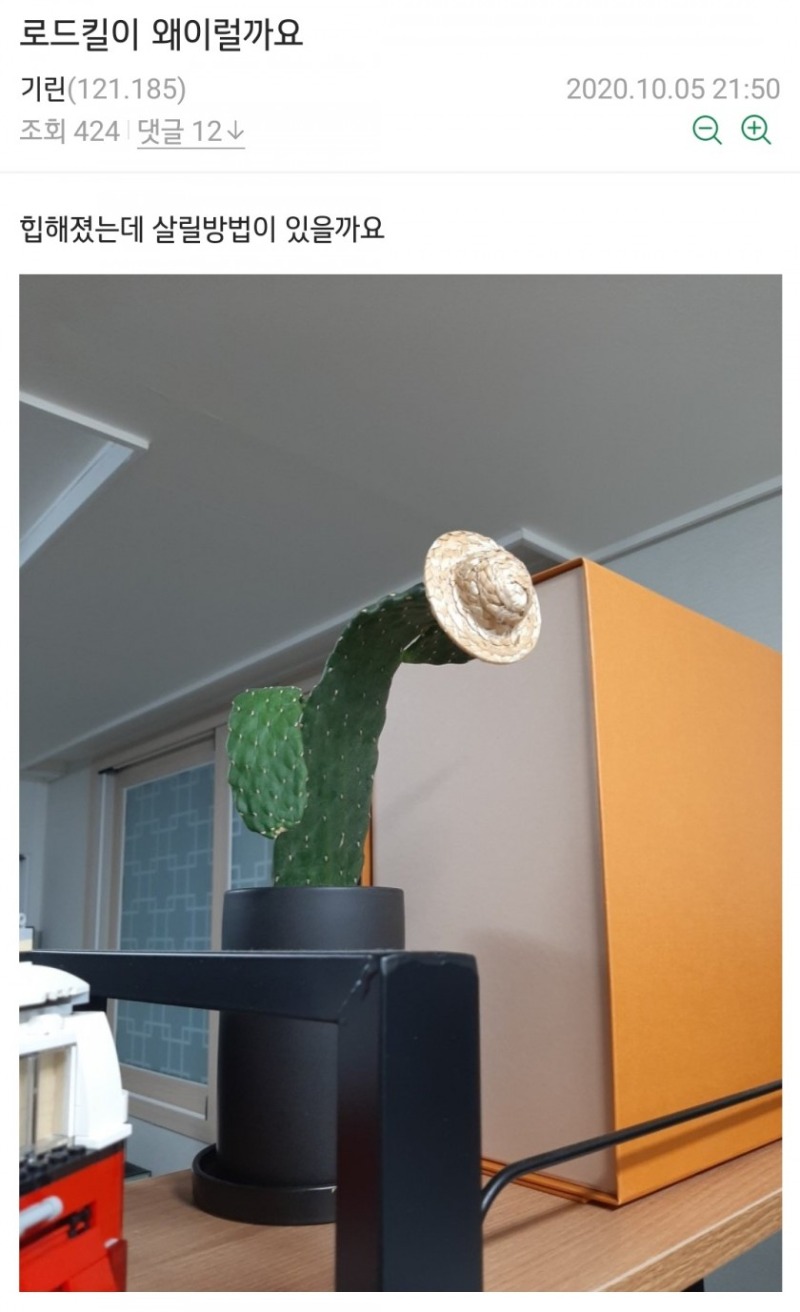 7.1.jpg