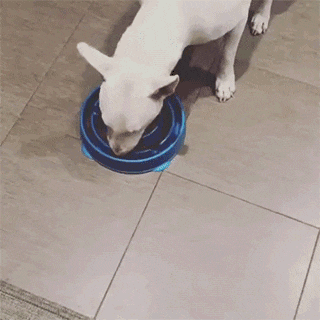 YwD7Z3p.gif
