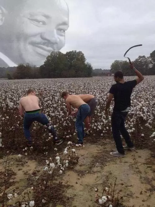 175e3fef76e4f6669.png