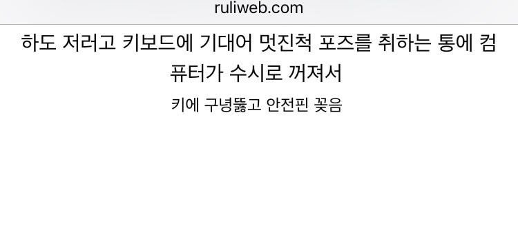 고양이 때문에 안전핀 꽂은 루리웹인3.jpg