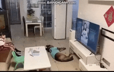 17585d541771307e9.gif