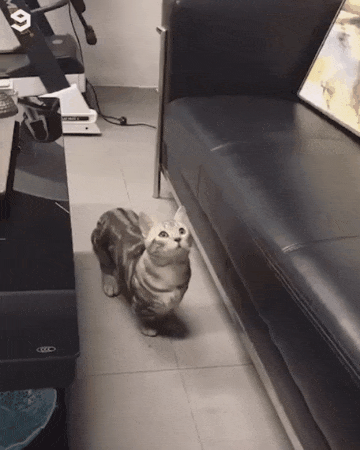 32770-1.GIF