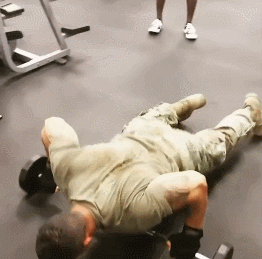 4.gif