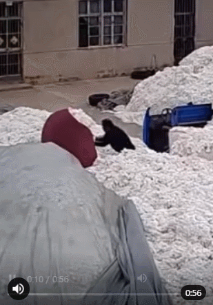 175b624a84eeb794.gif