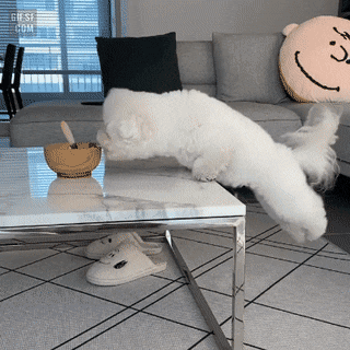 먹고싶다.gif