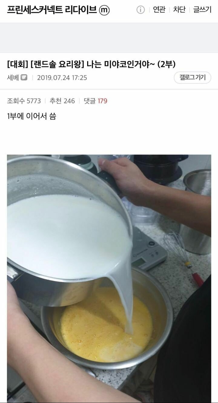 어떤 마이너 갤러리 요리대회 출품작.jpeg