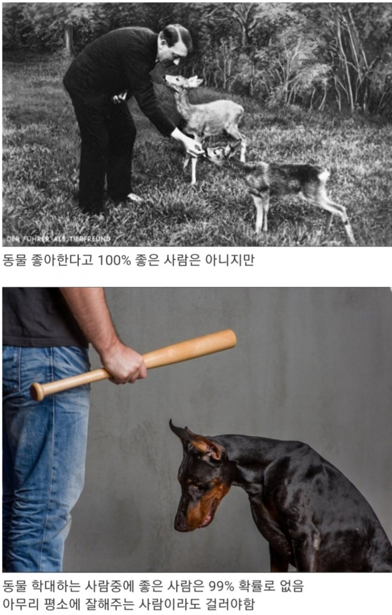 1.2.jpg