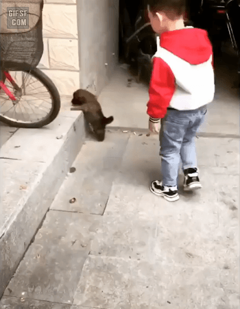 댕댕이 도와주는 아이.gif
