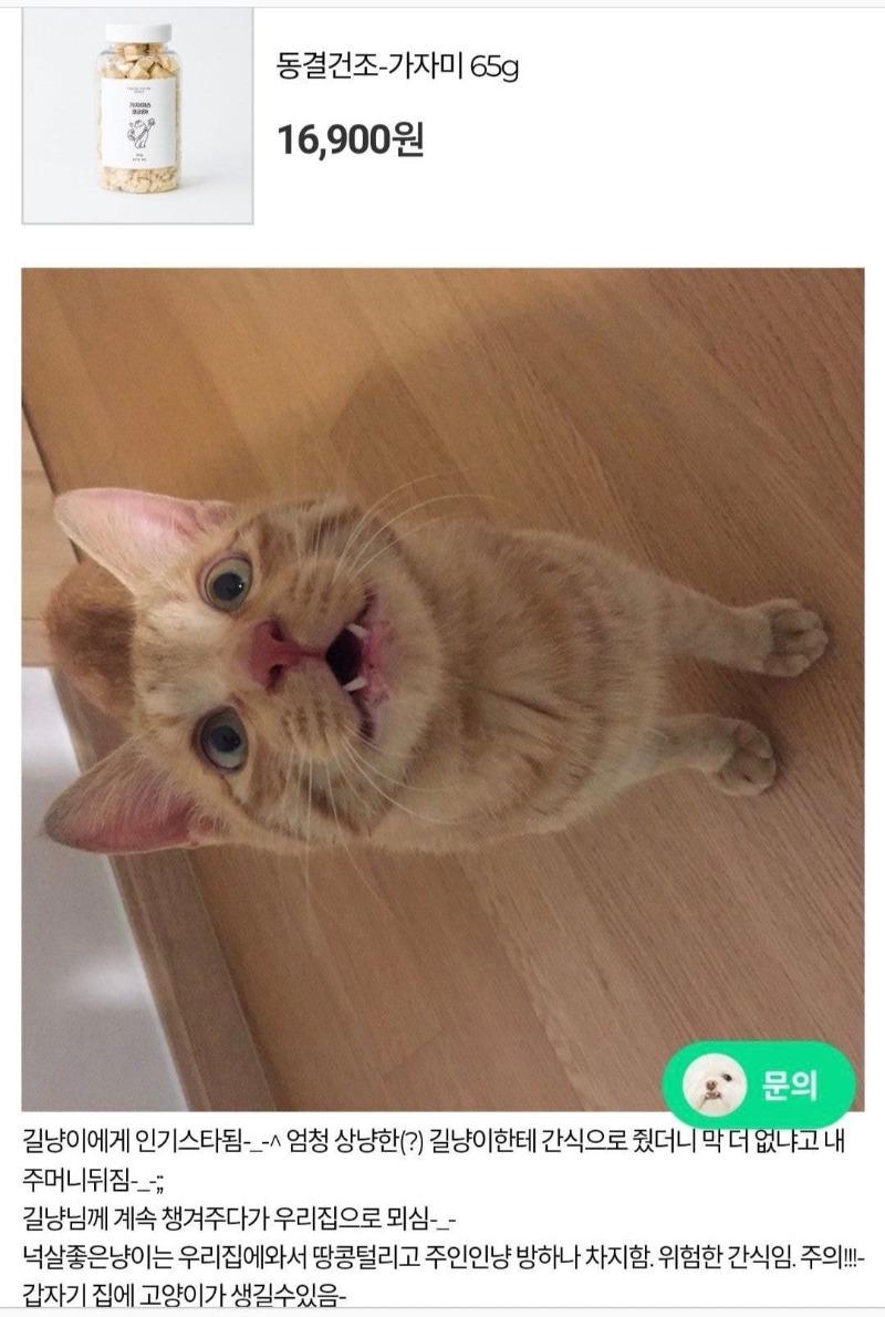 고양이 간식 후기.jpeg