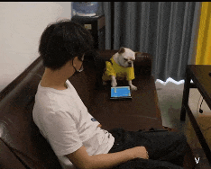 2039002453_WfRwrkqO_db09c53d5ee55b605983182d294f9793c0425f48.gif