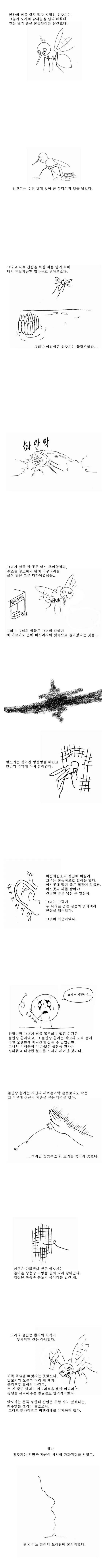 퀘이사존