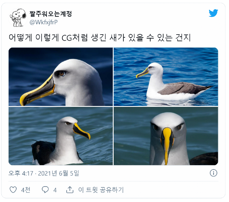 44a095d41fdb0cda0e0555f4825040ca_1622980744_6155.png