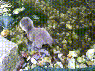 84b31ca8ef88be099f31b792bb58daac_1638727172_1567.gif
