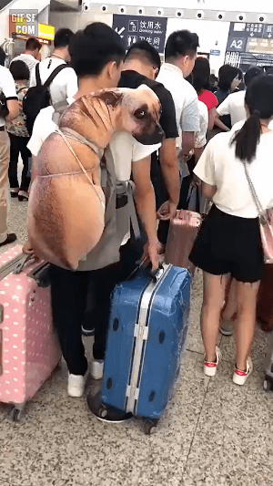 2890321627_dINbqh23_ed9562e158935dda6be4b05c4b880475f7cc792b.gif