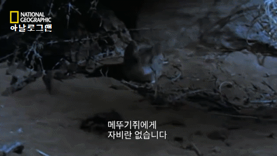 f6b23e172eea3d0e487093fb02a69c34_1659307634_8404.gif