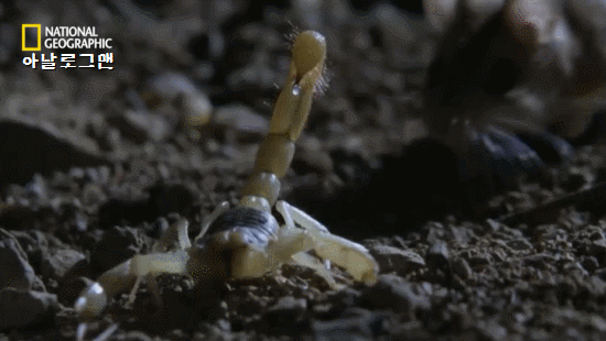 f6b23e172eea3d0e487093fb02a69c34_1659307623_451.gif