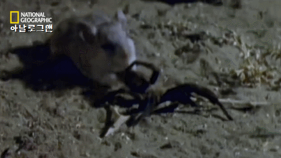 f6b23e172eea3d0e487093fb02a69c34_1659307648_5932.gif